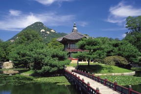 2026年世界桥牌团体赛闭幕 中国混合队闯入决赛创历史，世界桥牌跨国混合团体赛