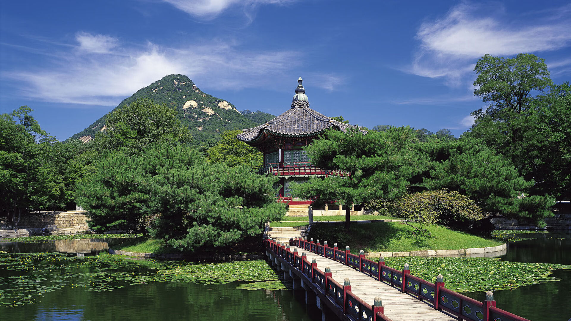 2026年世界桥牌团体赛闭幕 中国混合队闯入决赛创历史，世界桥牌跨国混合团体赛